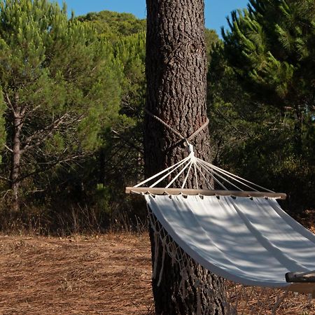 Monte Horizonte - The Private Villas - Eco & Nature (Adults Only) Santiago do Cacem Exterior photo